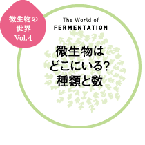 微生物の世界 微生物はどこにいる? 種類と数