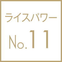 ライスパワーNo.11