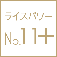 ライスパワーNo.11+